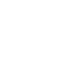 MW Designs logo mark in white